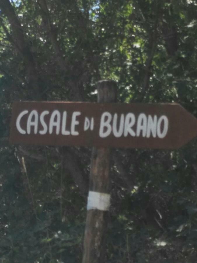 Casale Di Burano Apartman Onano Kültér fotó