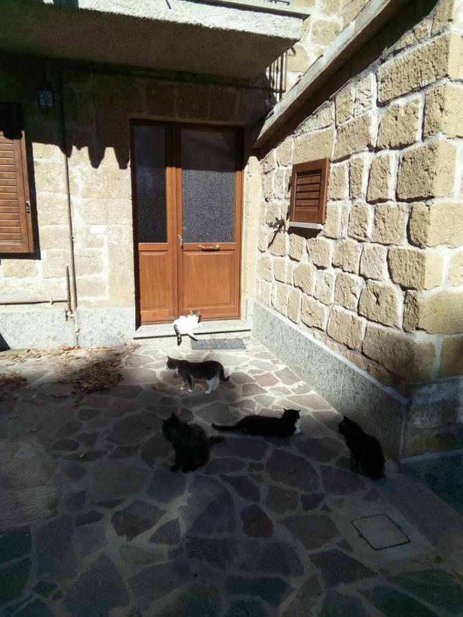 Casale Di Burano Apartman Onano Kültér fotó